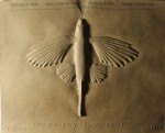 thermoform image of a flying fish