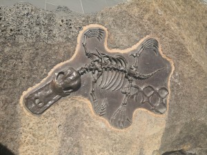 bronze platypus sculpture set in stone